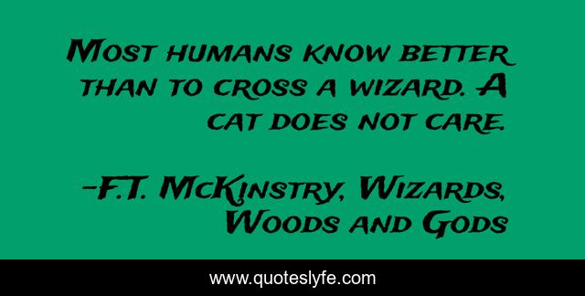 Most humans know better than to cross a wizard. A cat does not care.