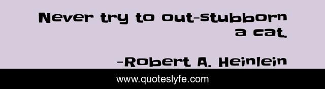 Never try to out-stubborn a cat.