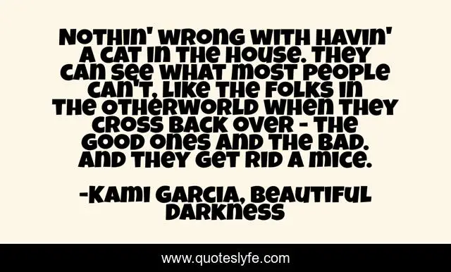 Nothin' wrong with havin' a cat in the house. They can see what most people can't, like the folks in the Otherworld when they cross back over - the good ones and the bad. And they get rid a mice.