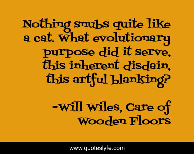 Nothing snubs quite like a cat. What evolutionary purpose did it serve, this inherent disdain, this artful blanking?