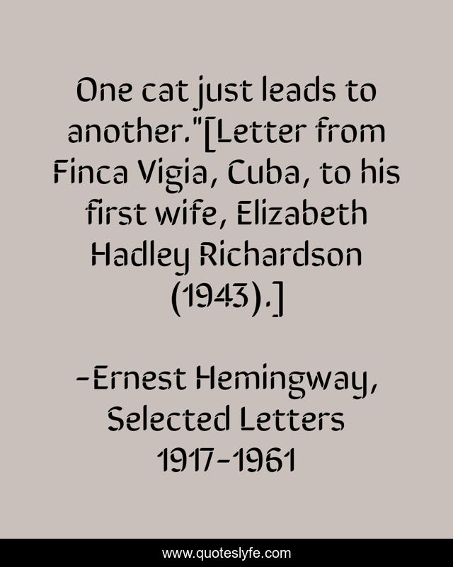 One cat just leads to another.