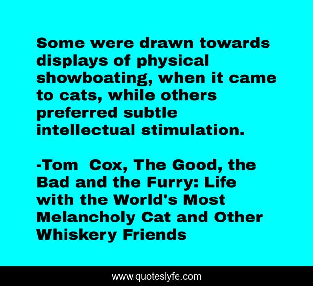 Some were drawn towards displays of physical showboating, when it came to cats, while others preferred subtle intellectual stimulation.