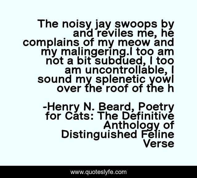 The noisy jay swoops by and reviles me, he complains of my meow and my malingering.I too am not a bit subdued, I too am uncontrollable, I sound my splenetic yowl over the roof of the h