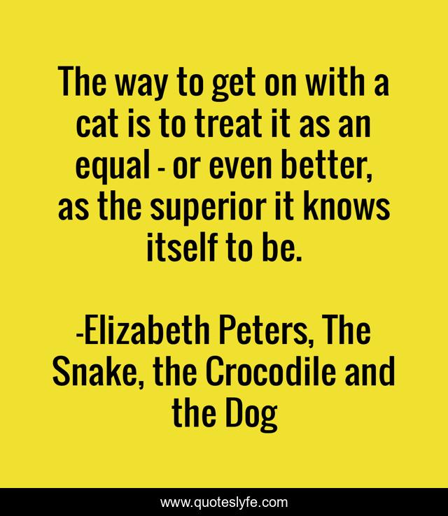 The way to get on with a cat is to treat it as an equal - or even better, as the superior it knows itself to be.