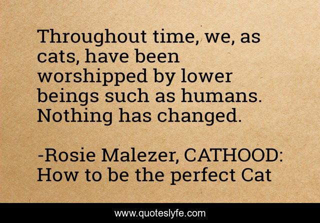 Throughout time, we, as cats, have been worshipped by lower beings such as humans. Nothing has changed.