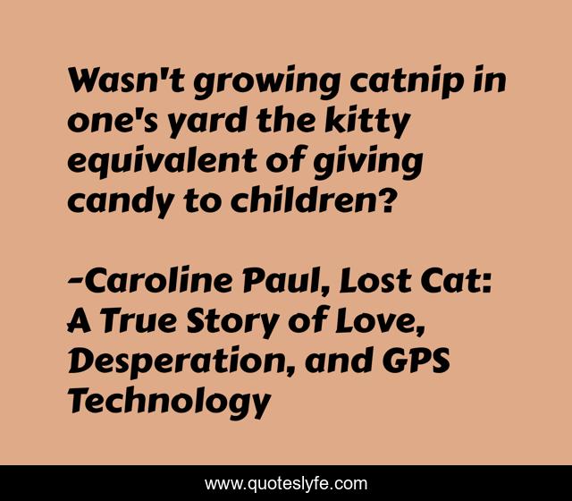 Wasn't growing catnip in one's yard the kitty equivalent of giving candy to children?