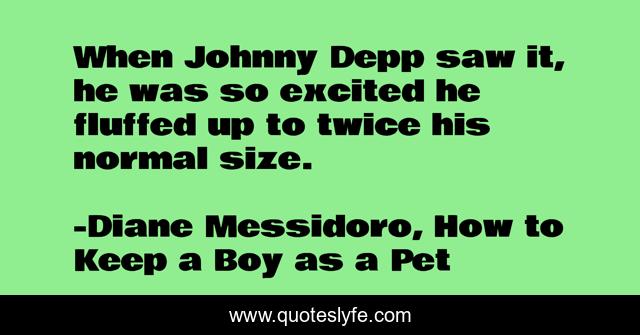 When Johnny Depp saw it, he was so excited he fluffed up to twice his normal size.