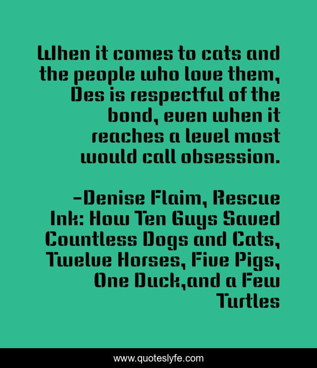 When it comes to cats and the people who love them, Des is respectful of the bond, even when it reaches a level most would call obsession.