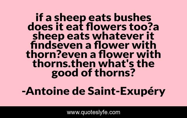 if a sheep eats bushes does it eat flowers too?a sheep eats whatever it findseven a flower with thorn?even a flower with thorns.then what's the good of thorns?