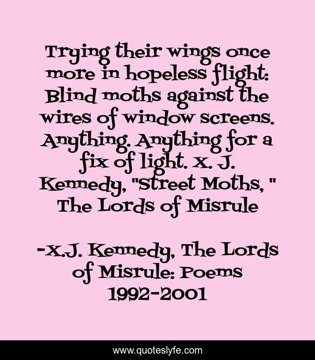 Trying their wings once more in hopeless flight: Blind moths against the wires of window screens. Anything. Anything for a fix of light. X. J. Kennedy, 