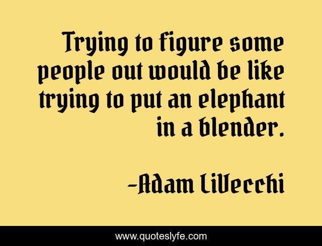 Trying to figure some people out would be like trying to put an elephant in a blender.