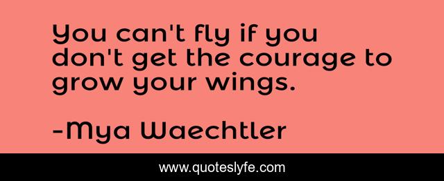 You can't fly if you don't get the courage to grow your wings.
