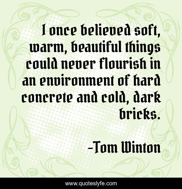 I once believed soft, warm, beautiful things could never flourish in an environment of hard concrete and cold, dark bricks.