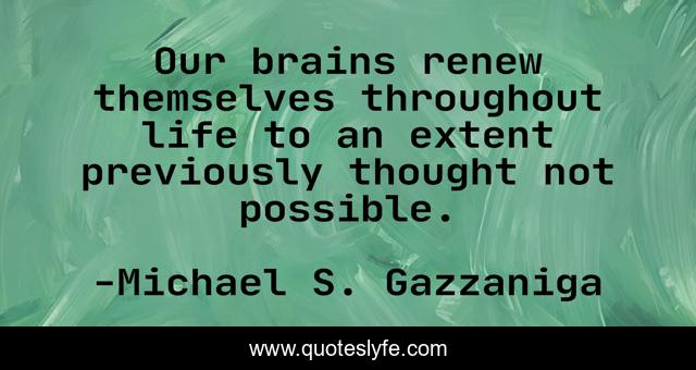 Our brains renew themselves throughout life to an extent previously thought not possible.