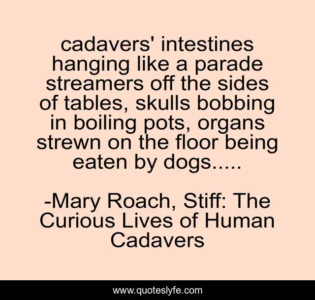 cadavers' intestines hanging like a parade streamers off the sides of tables, skulls bobbing in boiling pots, organs strewn on the floor being eaten by dogs.....