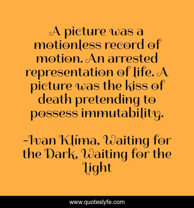 A picture was a motionless record of motion. An arrested representation of life. A picture was the kiss of death pretending to possess immutability.