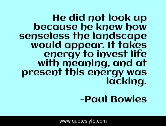 He did not look up because he knew how senseless the landscape would appear. It takes energy to invest life with meaning, and at present this energy was lacking.