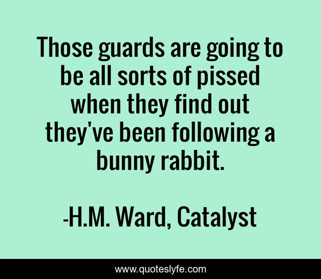 Those guards are going to be all sorts of pissed when they find out they've been following a bunny rabbit.