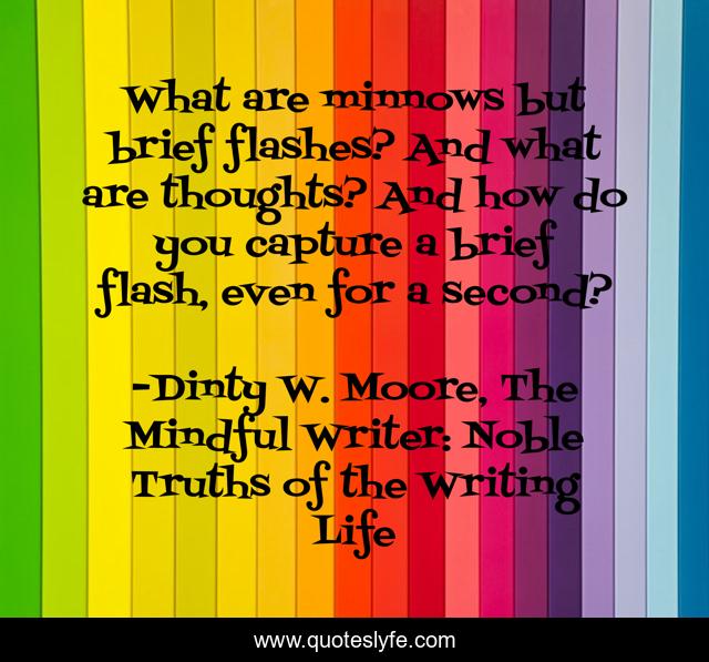 What are minnows but brief flashes? And what are thoughts? And how do you capture a brief flash, even for a second?