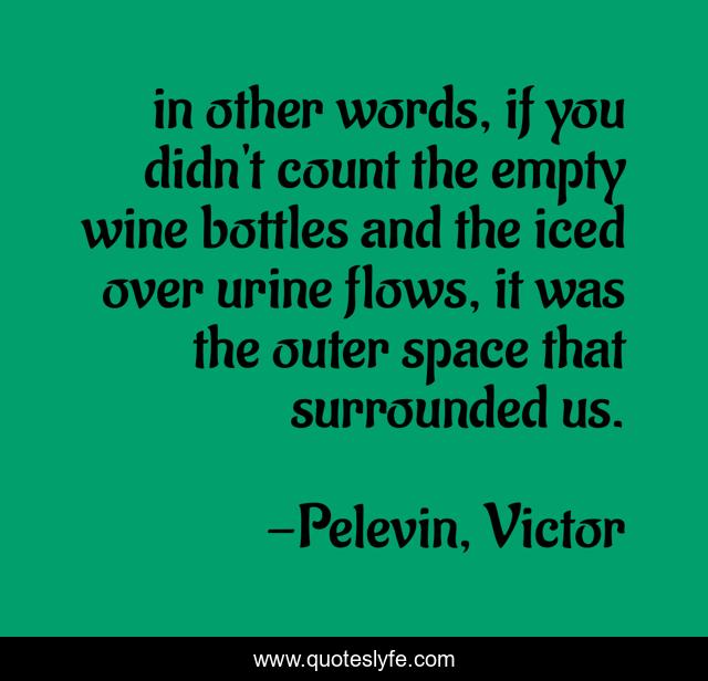 in other words, if you didn't count the empty wine bottles and the iced over urine flows, it was the outer space that surrounded us.