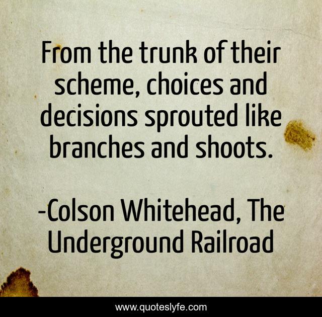 From the trunk of their scheme, choices and decisions sprouted like branches and shoots.
