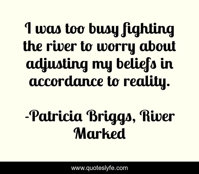 I was too busy fighting the river to worry about adjusting my beliefs in accordance to reality.