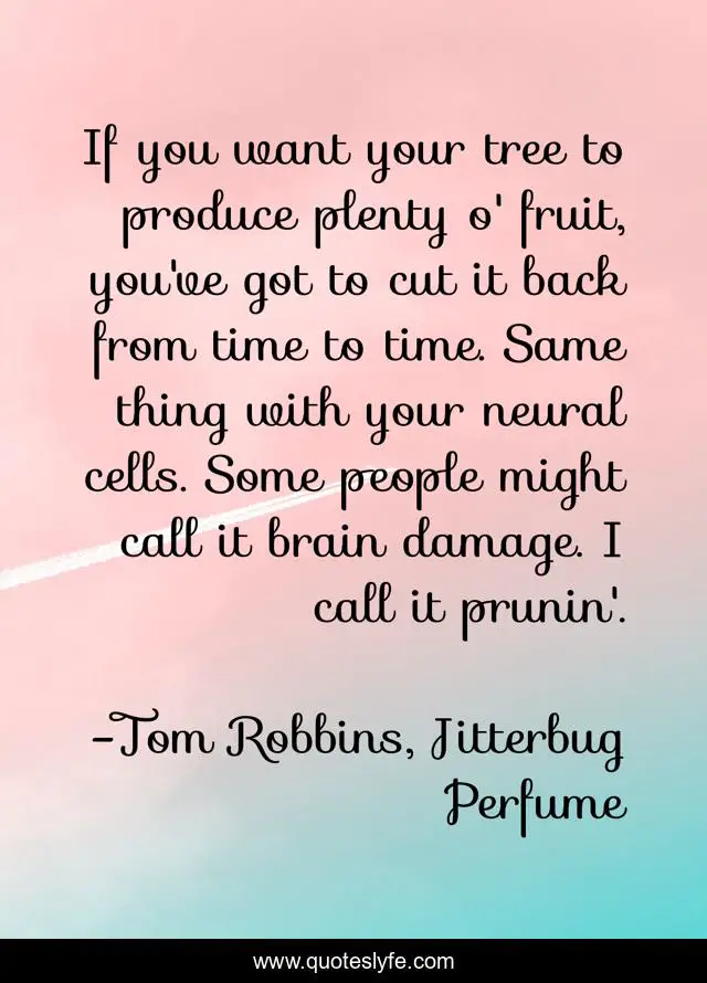If you want your tree to produce plenty o' fruit, you've got to cut it back from time to time. Same thing with your neural cells. Some people might call it brain damage. I call it prunin'.