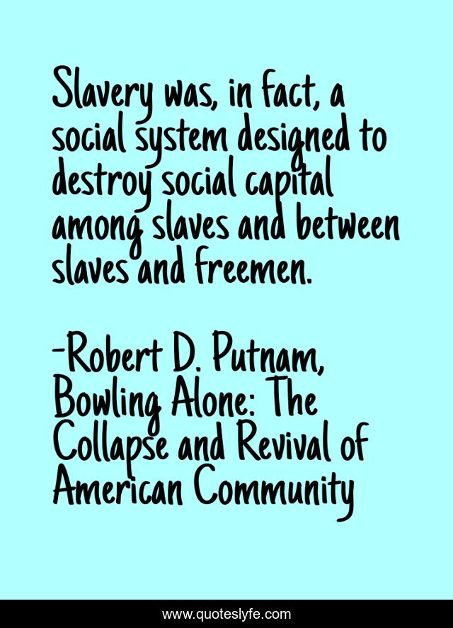 Slavery was, in fact, a social system designed to destroy social capital among slaves and between slaves and freemen.