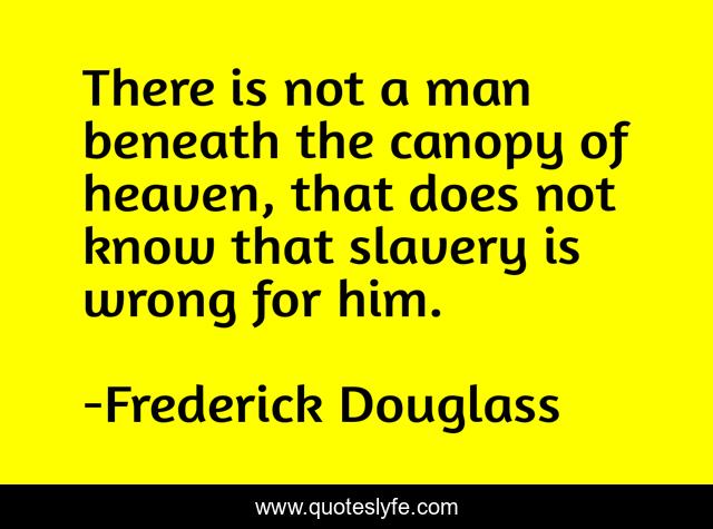There is not a man beneath the canopy of heaven, that does not know that slavery is wrong for him.