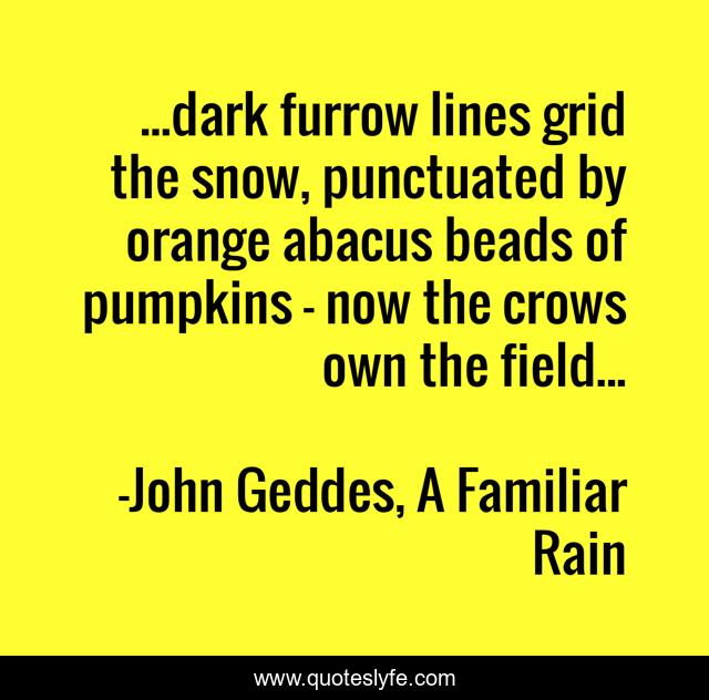 ...dark furrow lines grid the snow, punctuated by orange abacus beads of pumpkins - now the crows own the field...