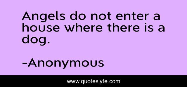Angels do not enter a house where there is a dog.