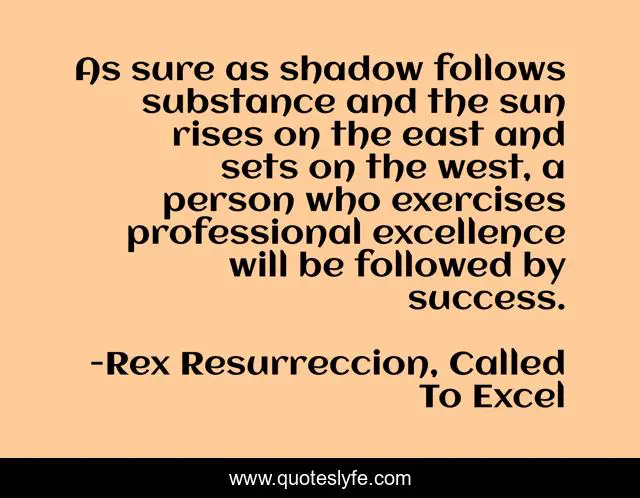 As sure as shadow follows substance and the sun rises on the east and sets on the west, a person who exercises professional excellence will be followed by success.