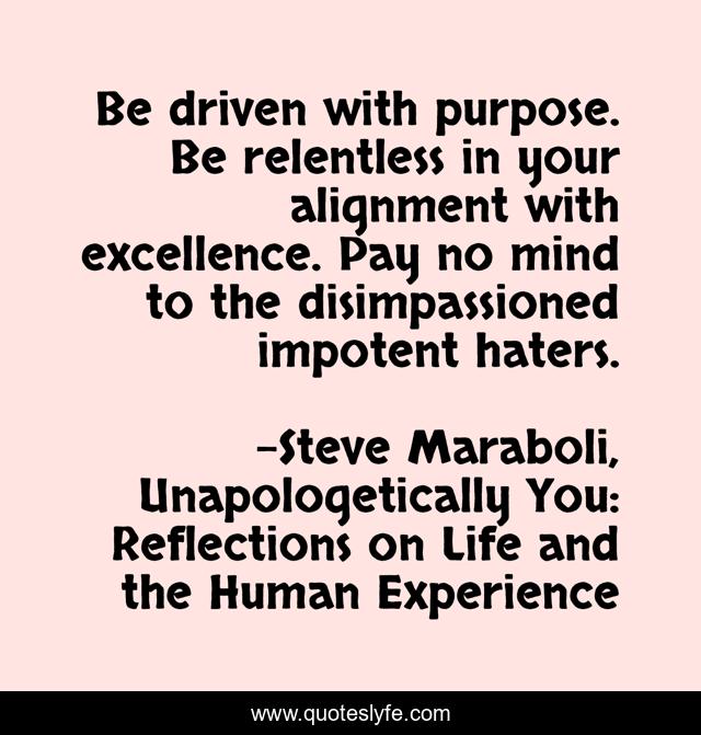 Be driven with purpose. Be relentless in your alignment with excellence. Pay no mind to the disimpassioned impotent haters.