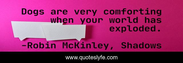 Dogs are very comforting when your world has exploded.