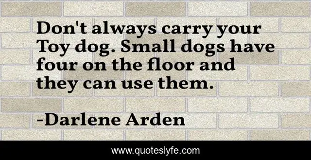 Don't always carry your Toy dog. Small dogs have four on the floor and they can use them.