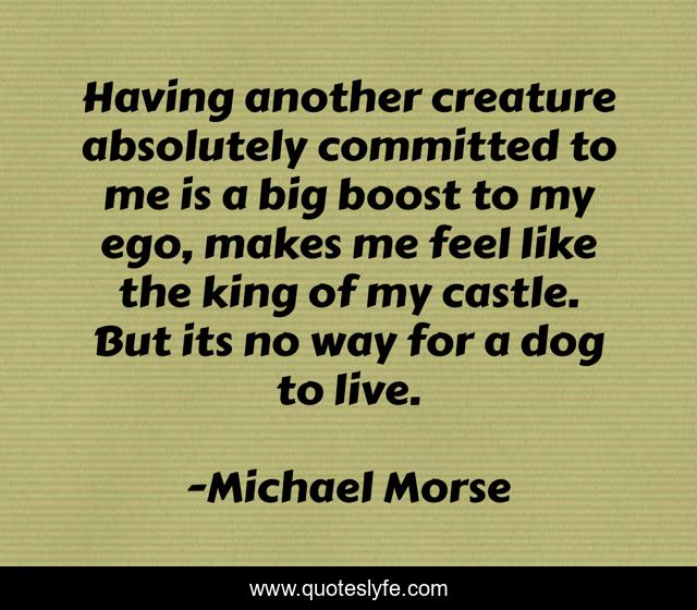 Having another creature absolutely committed to me is a big boost to my ego, makes me feel like the king of my castle. But its no way for a dog to live.