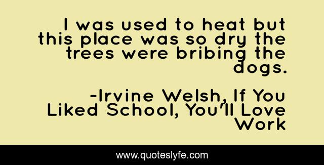 I was used to heat but this place was so dry the trees were bribing the dogs.