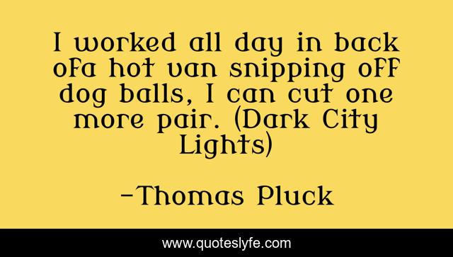 I worked all day in back ofa hot van snipping off dog balls, I can cut one more pair. (Dark City Lights)