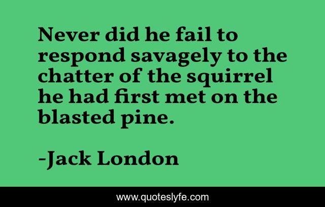 Never did he fail to respond savagely to the chatter of the squirrel he had first met on the blasted pine.