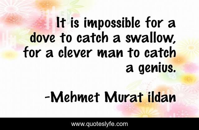 It is impossible for a dove to catch a swallow, for a clever man to catch a genius.
