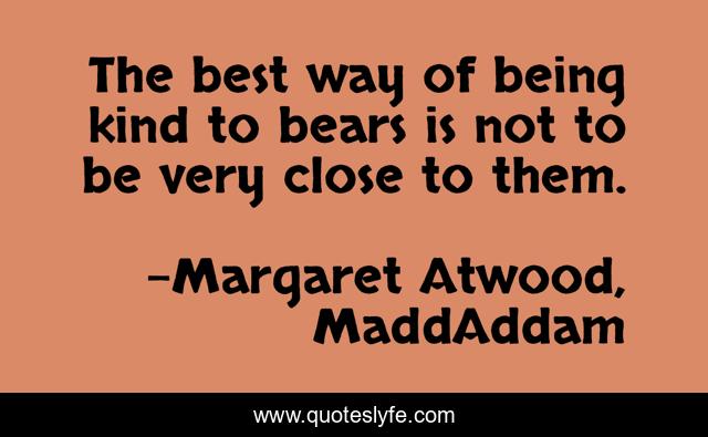 The best way of being kind to bears is not to be very close to them.