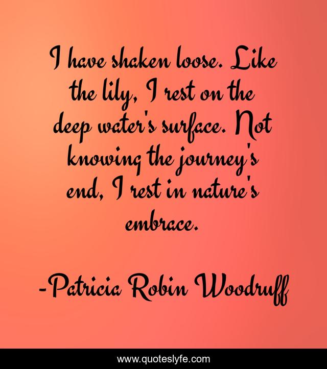 I have shaken loose. Like the lily, I rest on the deep water's surface. Not knowing the journey's end, I rest in nature's embrace.