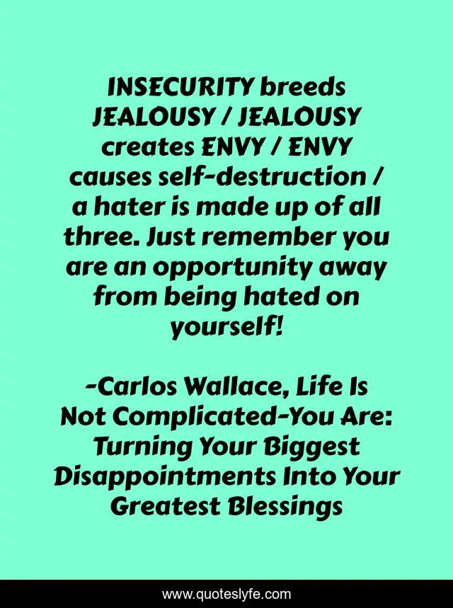 INSECURITY breeds JEALOUSY / JEALOUSY creates ENVY / ENVY causes self-destruction / a hater is made up of all three. Just remember you are an opportunity away from being hated on yourself!