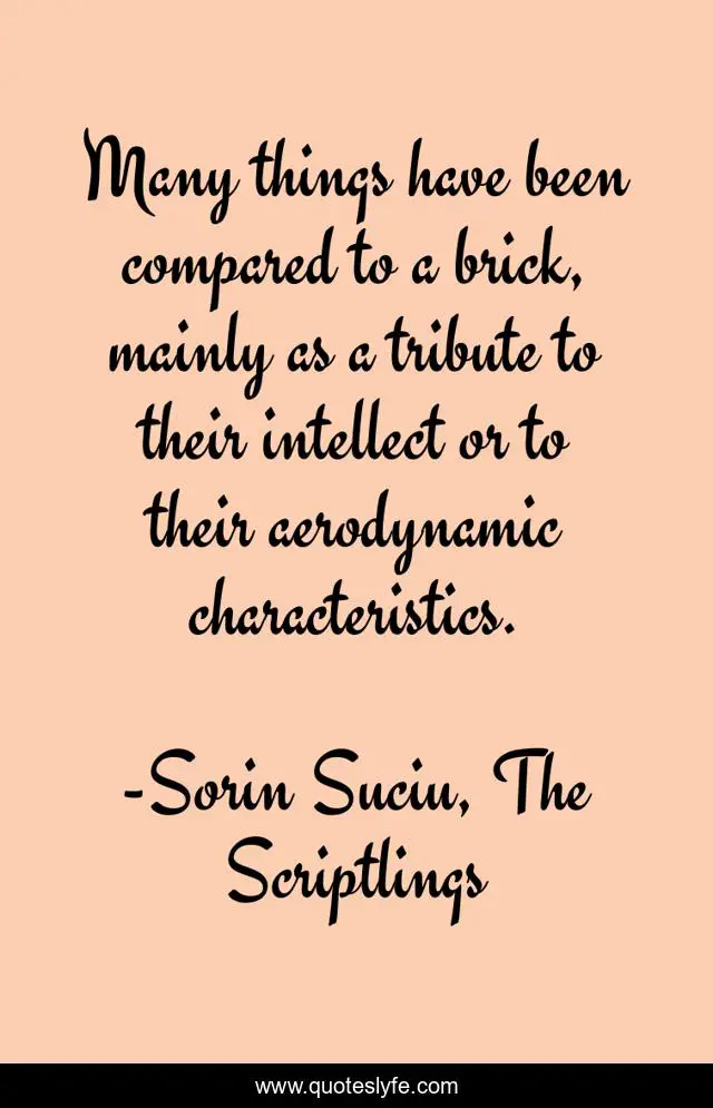 Many things have been compared to a brick, mainly as a tribute to their intellect or to their aerodynamic characteristics.
