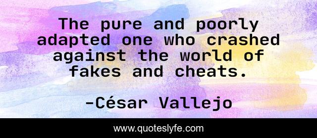 The pure and poorly adapted one who crashed against the world of fakes and cheats.