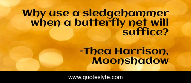 Why use a sledgehammer when a butterfly net will suffice?