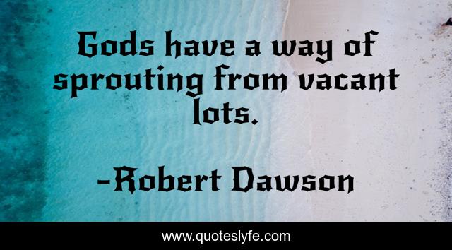 Gods have a way of sprouting from vacant lots.