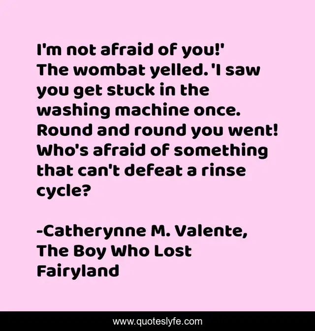 I'm not afraid of you!' The wombat yelled. 'I saw you get stuck in the washing machine once. Round and round you went! Who's afraid of something that can't defeat a rinse cycle?