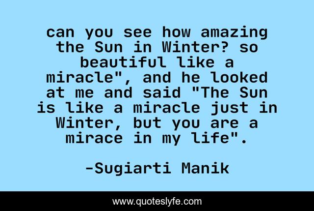 can you see how amazing the Sun in Winter? so beautiful like a miracle