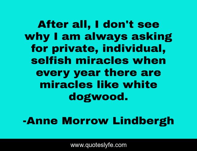After all, I don't see why I am always asking for private, individual, selfish miracles when every year there are miracles like white dogwood.